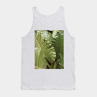 Aesthetic green leaves, leaf, nature plant modern art photography Tank Top